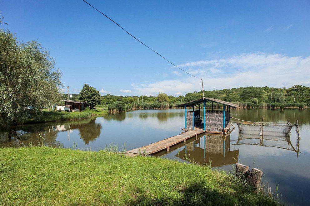 ������ ���� ����� ����� ������������� ������ ���������� ���������� ����������� ���������� ������ ������ ��������