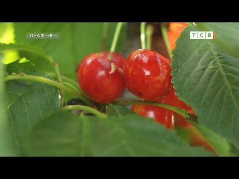 ��������� ������� ������ �������� � � �����