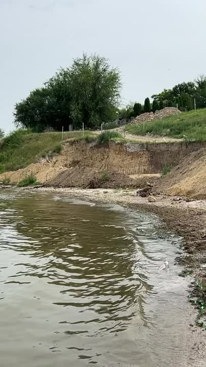 �� ������������ ��� �������� �������, � ���� ��� ����� ��������