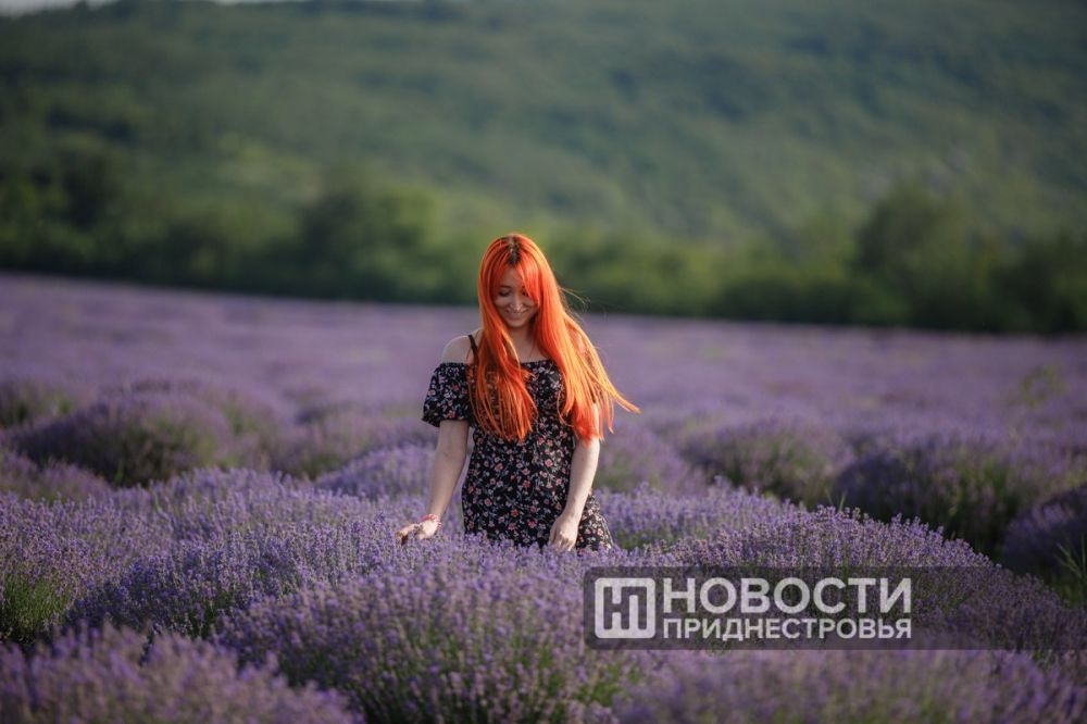 ��������� ��������� ������� � ������ � ������� ������������� �� �������� ��������������