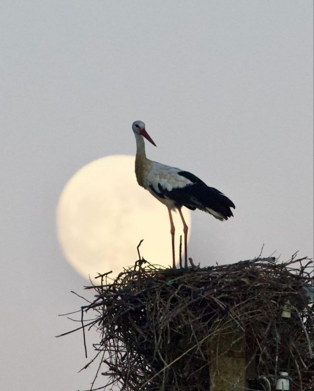 ���� - ������ ��������� �������