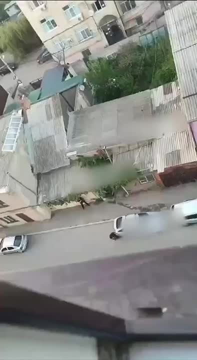 ��������� �����, ����������������, ���������� ������ �� �������� � ���������