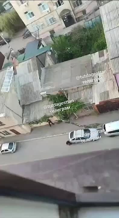 ����� ���������� ���� ����������� � ���������