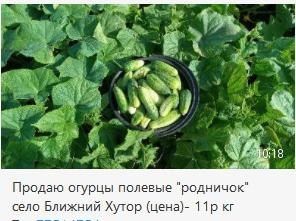 ����� ������� � �������