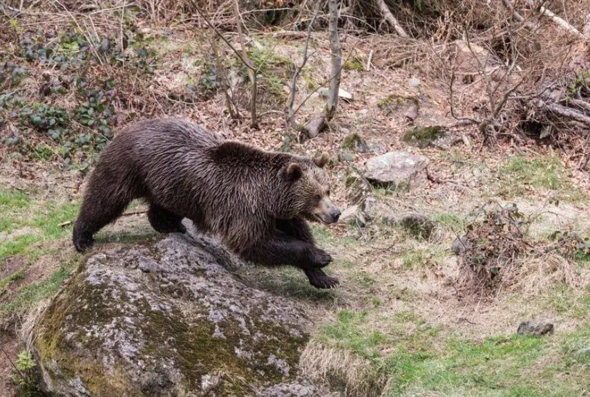 � ������� ������� ����� �� �������� �� �������