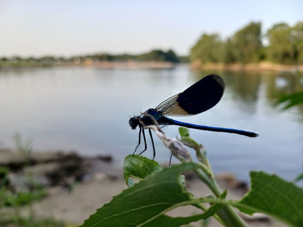 ��� ������� ��������� ����� �� ����� �� � ��, 25 ���� ��������� ���������� ���������� ��� �������