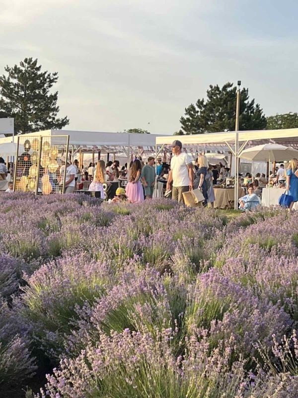 ��������� �������: ������� � ����������!