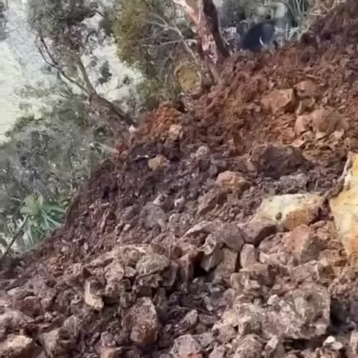 ����� ����� ������ �� ����� ������� � ���� � ����� ������� ���� �������