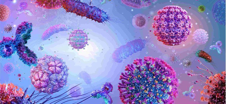 � ���������� �� ���� �������������� ������ �������� ��������