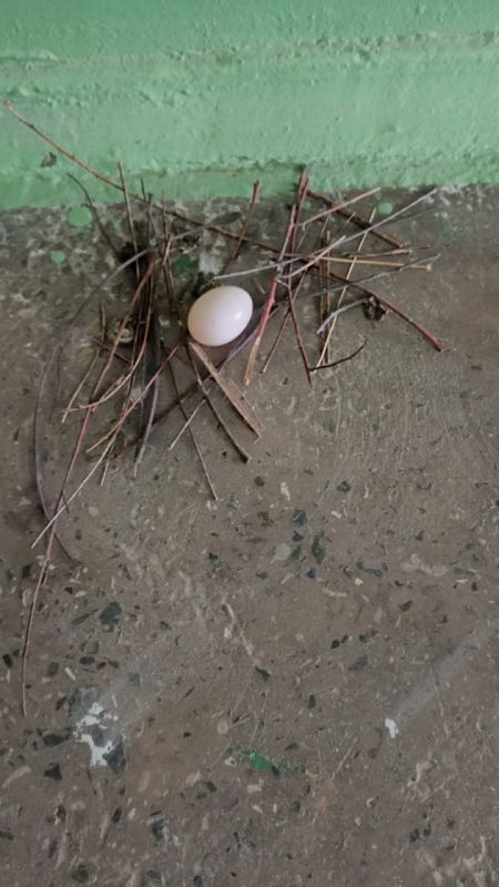 �� 7-� ����� ����������� ��������� ���������� ���������� � �����������