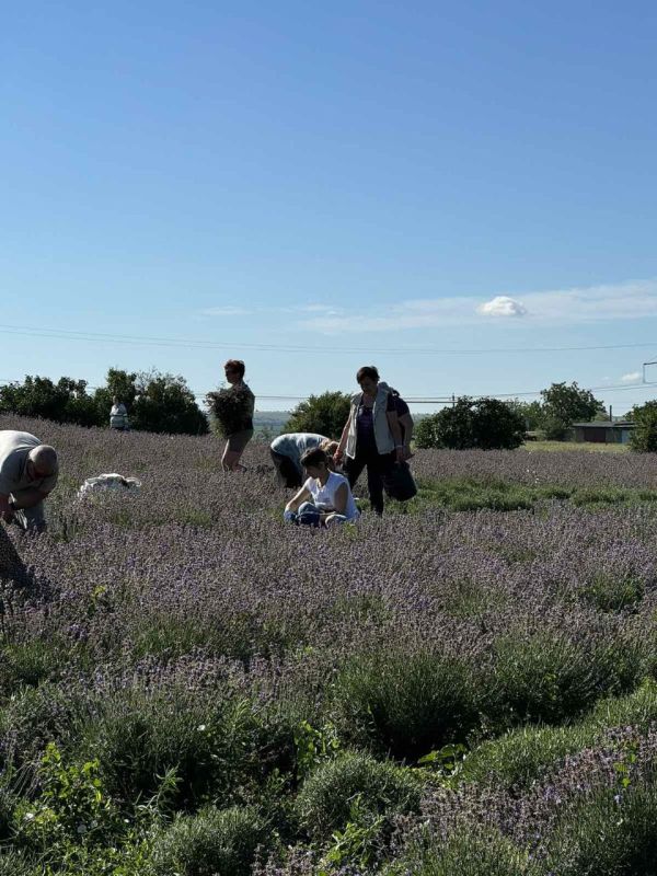 � ����������� �������� �������