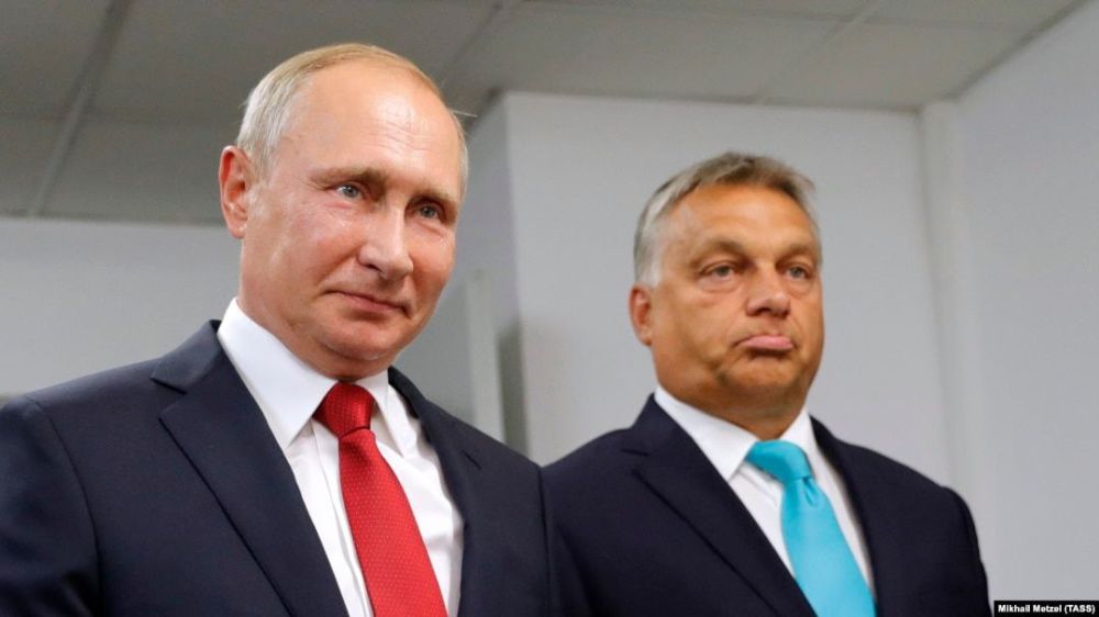 ������ �������� ������� ������ ����� � ������ � ��������