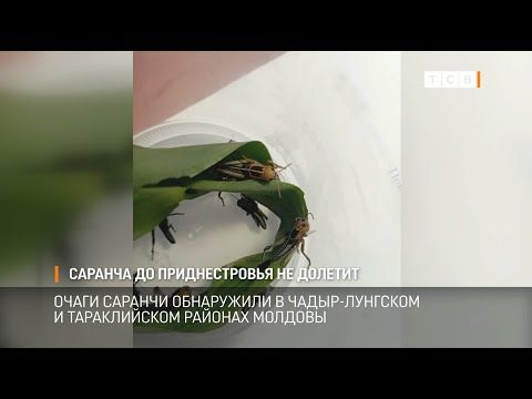 ������� � ��� ������� ������������ ����� ��������� �� �������������