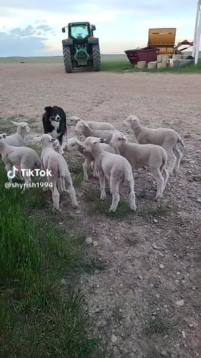 50 ��������� ���������� � ������� ������� ����� � �������� � ��������� �������