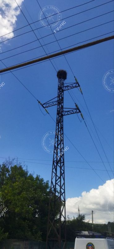 � ������� ������ �������