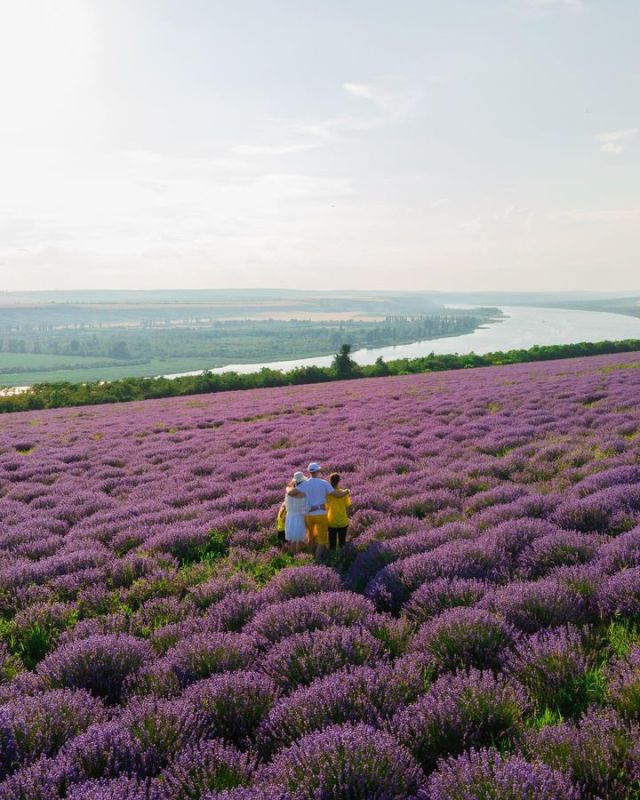 �� �� ������ �� ��������� �������, �� ��� ��� ������ ������� ����� ��� ����������� ���� ��� �������? �� ���� � ������ ����� ������� �� ����� ����