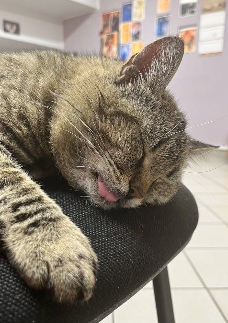 ������� �������� ���� ���������� �����