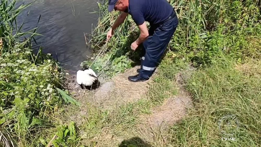 � ������� ������ �������