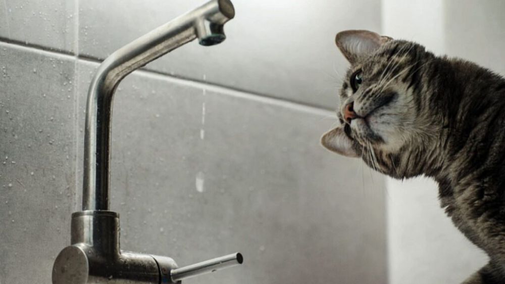 � 8 ���� � ��������� �������� ������� ���� �� ���� ������������, ����� ������������