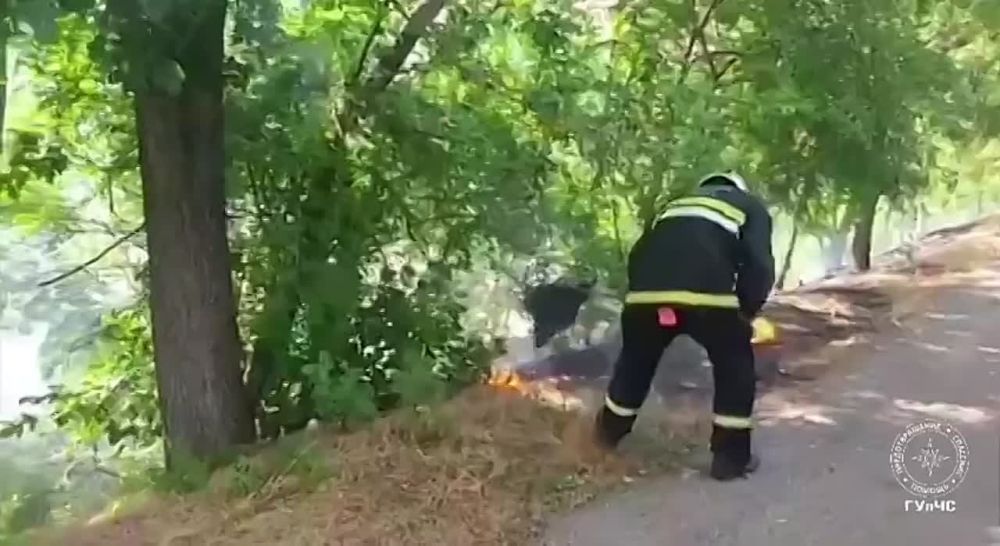 ��������� ��������� �������� ��� ������ ������������