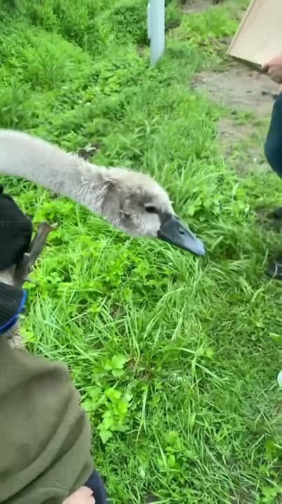 ������� ����� ��������: � ������������ ������ ����� �� ������, ����� ��������� ������ ��� ������� � ��������� ������