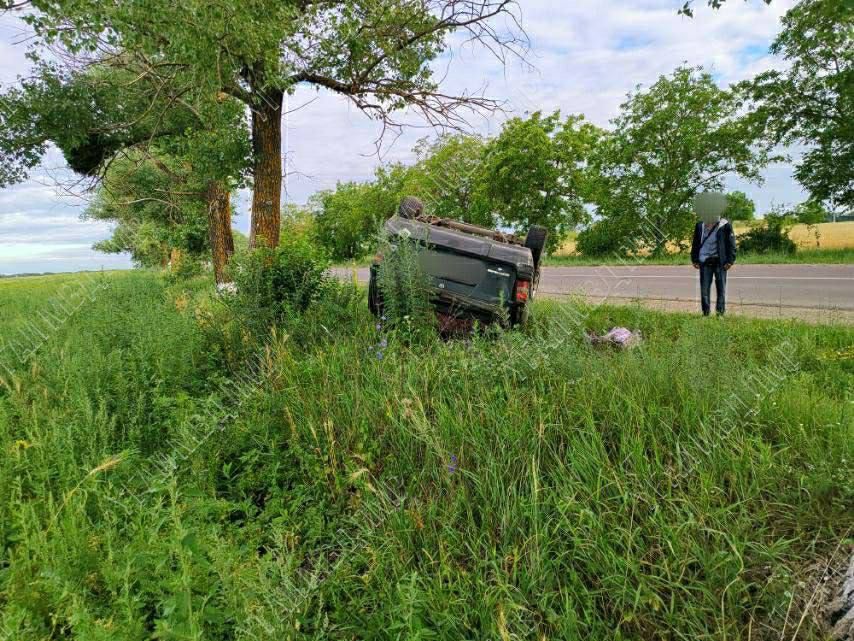 ������ ������������� �� ���������� ��������� � �������