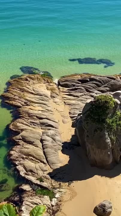 � ����� � 9 ��� �������� ������, ��� ����� ��������� �������� �� 7 ����