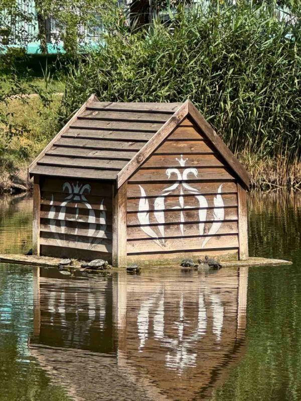 � ���������� ���� �� ������