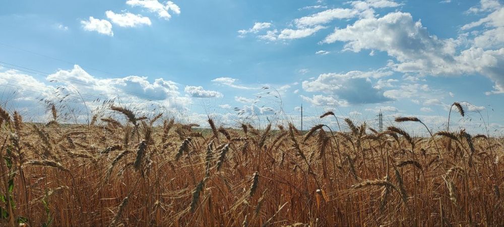 ��� �������� ��������� ����� �� ����� �� � ��, 27 ���� ��������� ���������� ����������, ��� �������