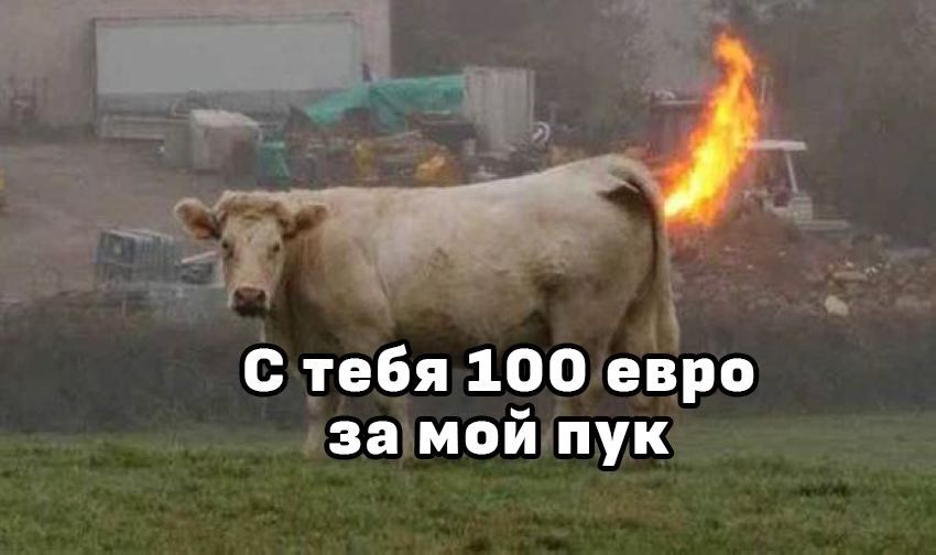 ������ ����� ����� ������� � �������� �� �100 �� ������ � �������� ������� ������ �� ������� ���������� ����� � �������� ���������