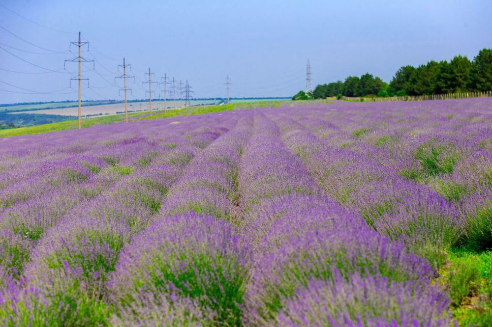 �� 30 ���� ��� ����� ������ ������� �� ���������� ����