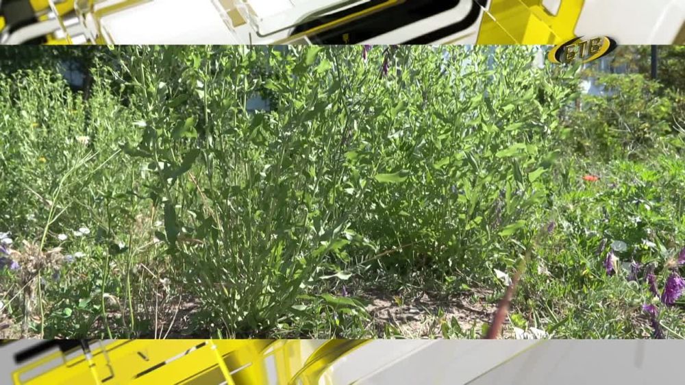 ������� � ����� �������. ������� ���� �������: