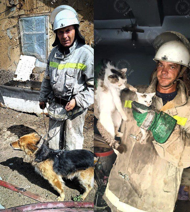 ������ �� ������ ������ � ���� ������� ����� � ���������������