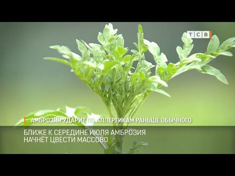 �������� � ���� ���� ������� �� ��� ������ ������