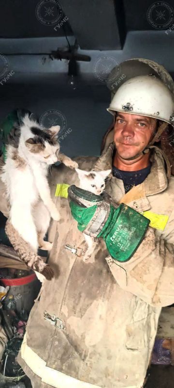 �������� ����������. ����� ����� ���������� � ���������������, � ����� ����������� �� ��������� ����� ������������ ����. � ���������� �������� ���������� ��� ������� �������, ������� �� �� �����, ����� �� ���� ������