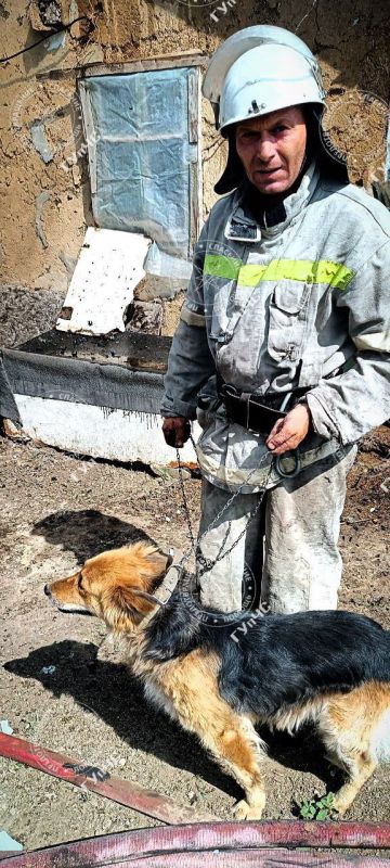 �� �������� ���� ������ ��� �������� �����