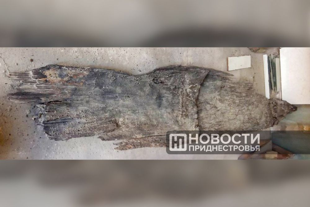 ���������� �����, ������� ��������� ����� ���, ������� �� ������� ������ ����� ��������