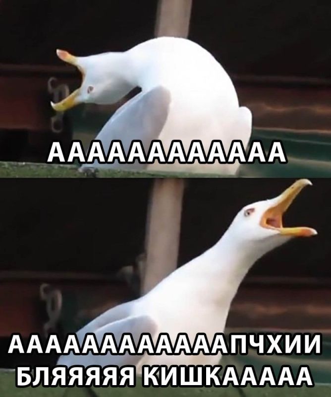 63-������ ������ ��� ������� ������ �� �������� � ��� ������ ������, ��� �������� ����������������� ���, �������� ����� ������� �����