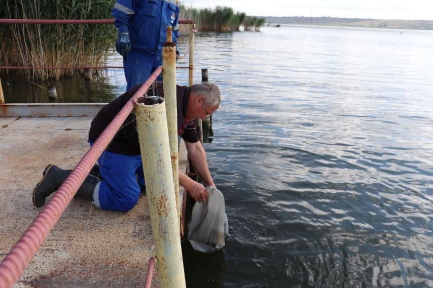 5 ��������� ������� ������ ��� ��������� ������� ���������� ���� � �������� ����