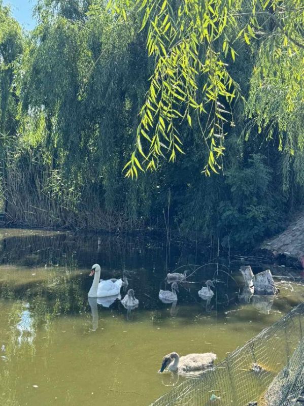 �������� � ����� �� �������� �������� � ��������������