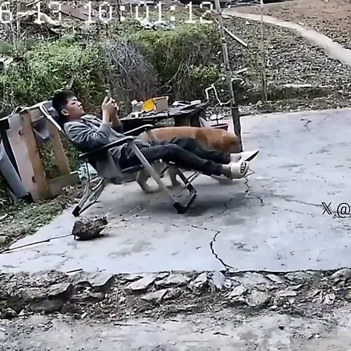 � ����� ������ �������� ������� ������ ������, ������ ����� ���������