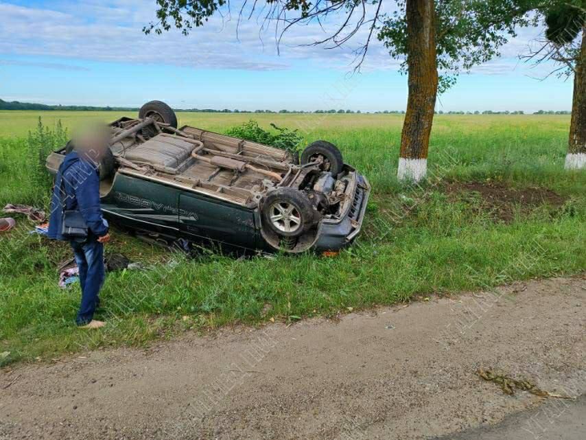 ������ � ����������� ������������� �������� �� �����������