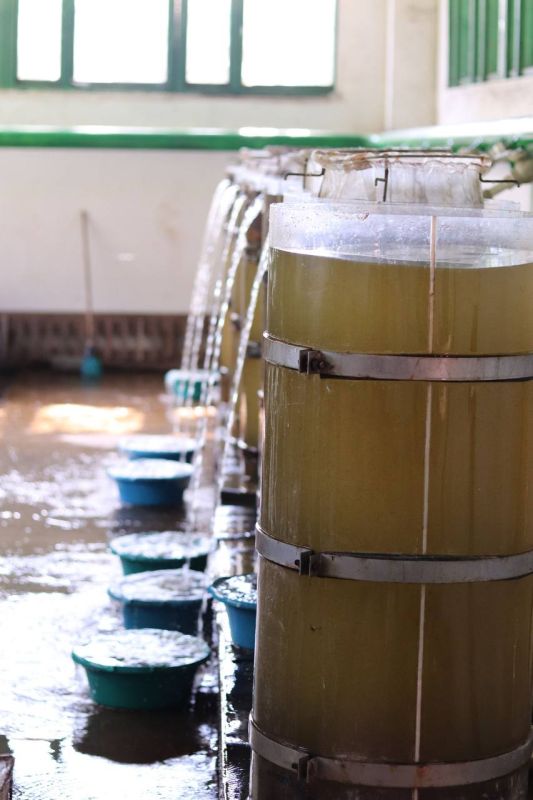 ���������� ���� ���������� ��������� ���������� ������������� ������