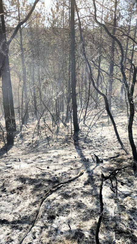 ��� �� ����, � ����� �� ��������� ����� � ��������� ������