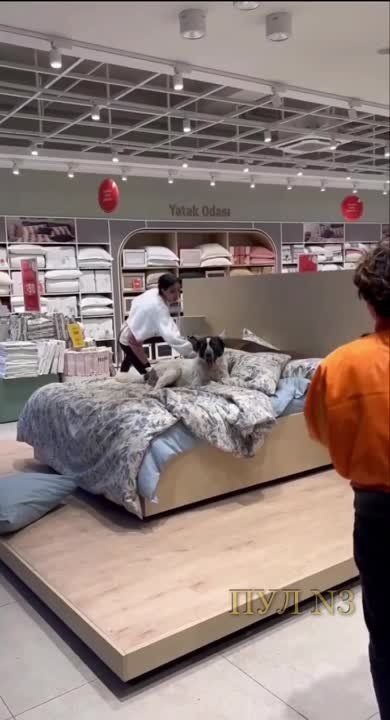 ����� � ������ ��������� ������� ��� ��������: � �������� ��������� ������ ������� ���� �� ������� � ��������� �������� � ����� ������������ �������