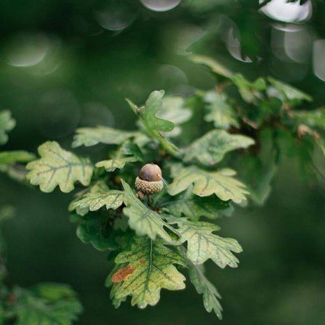 � ������� ���� ����� 11 �� �������� ���������