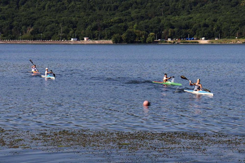 ������������ ��������� ������ �� ��������� � ����� ������� ������ �. ������ ������ 12 �������� ���� �� ���������� �. ��������