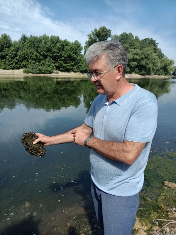 ����� �����������-��������������� ���������� ��� ������ ��������� ���������� ����� �����, ������������ ���������� �� �������