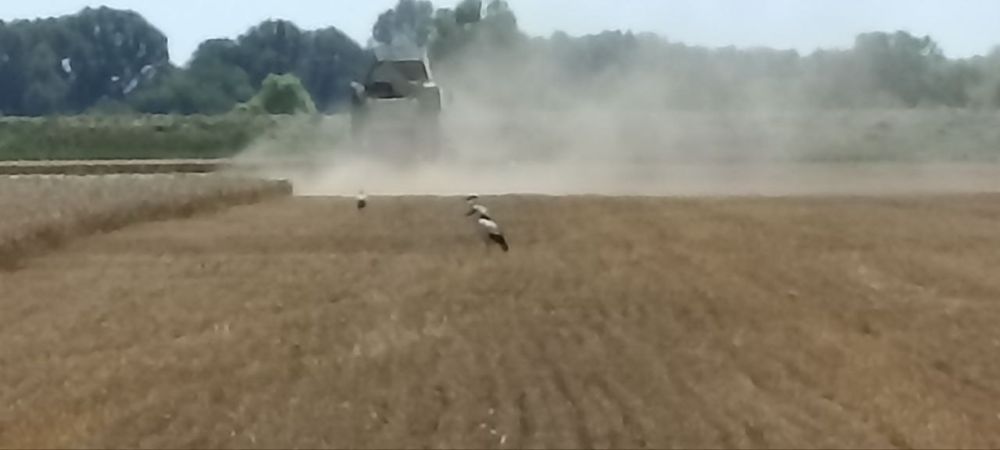 �� ����� ��� "��������" � ������� ������ ��������