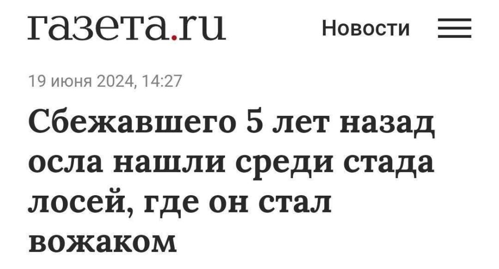 ����� ������� ������� �����